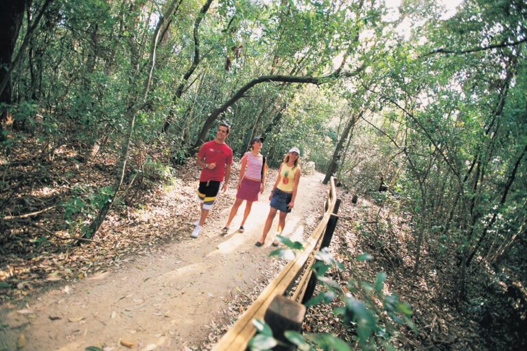 Iluka Rainforest Walking Track