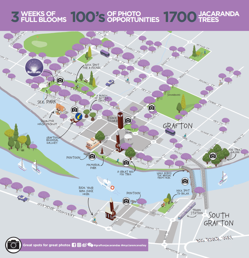 Grafton Jacaranda Map